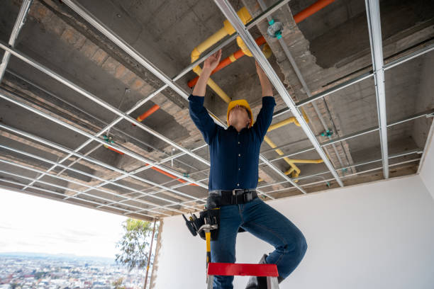 Best Commercial Plumbing Services  in Excelsior, MN