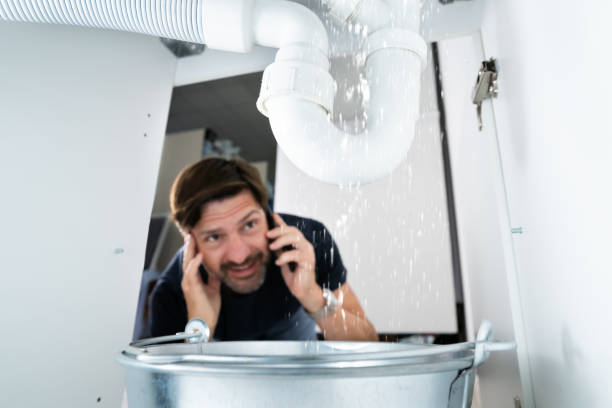 Best Clogged Drain Plumber  in Excelsior, MN