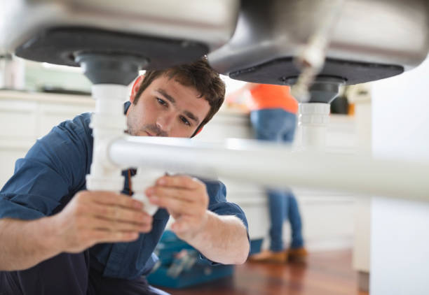 Best Plumbing Inspection Services  in Excelsior, MN
