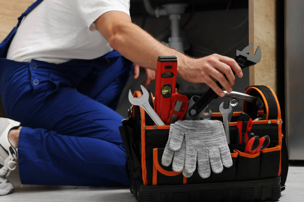 Best Local Plumber Services  in Excelsior, MN