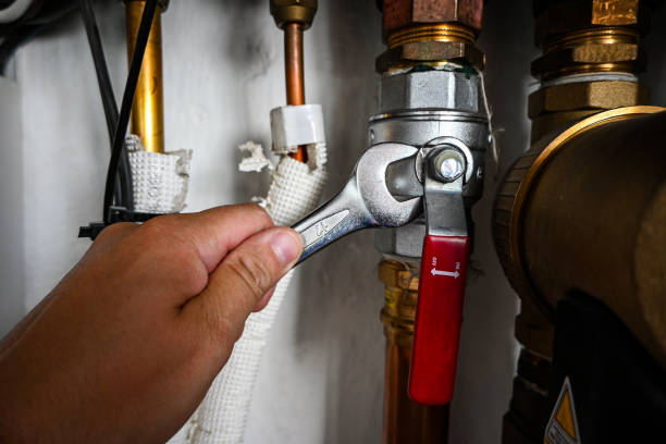 Best Same-Day Plumbing Service  in Excelsior, MN